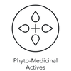 Phyto-crop_center_x_A_kopiera