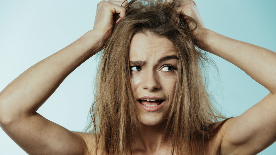 Frizzology 101: How Heat & Humidity Damage Your Cuticle | Sweden